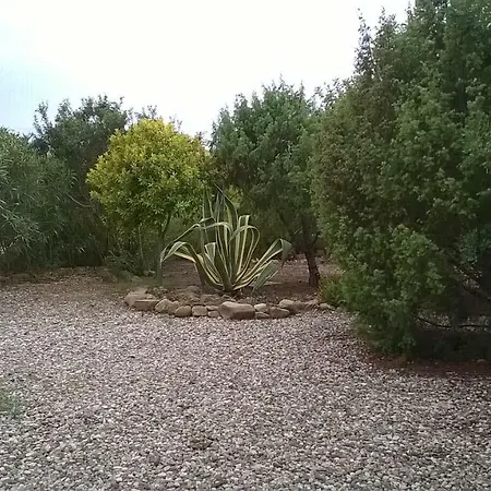 Casa Alida Cala Ginepro *